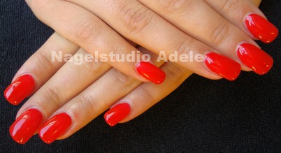 Gekleurde Gel Polish